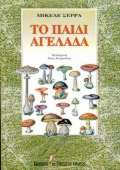 book_cover