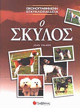 book_cover